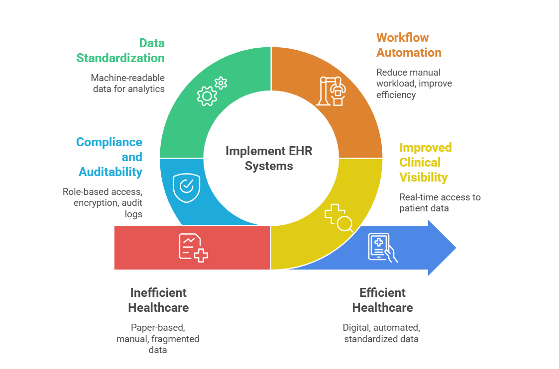 DICOM Standard for Medical Imaging: The Backbone of Modern Radiology